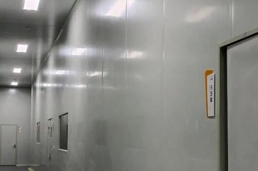 远大厂家介绍一款硅岩净化彩钢板产品